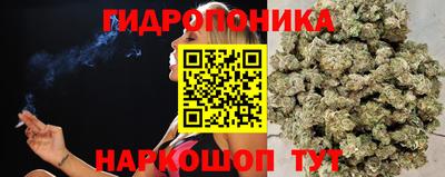 прущие грибы Краснокаменск