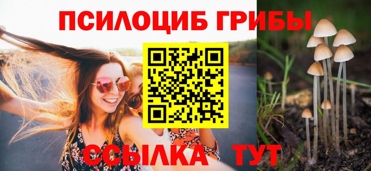 Псилоцибиновые грибы ЛСД  где купить наркоту  Вход с VPN  Касимов  Галлюциногенные грибы Cubensis 