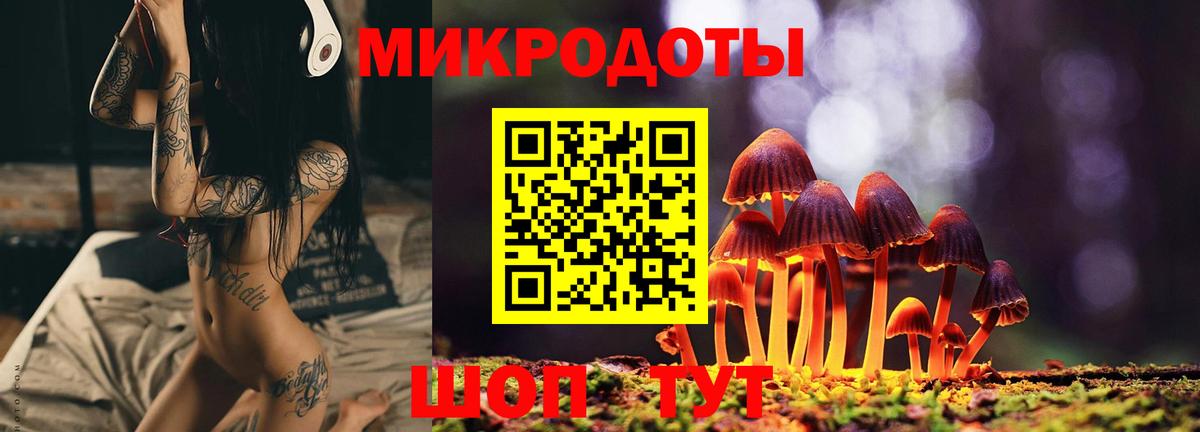 Псилоцибиновые грибы прущие грибы Касимов